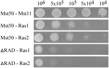 Figure 7.