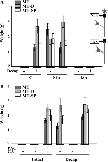 Figure 6.