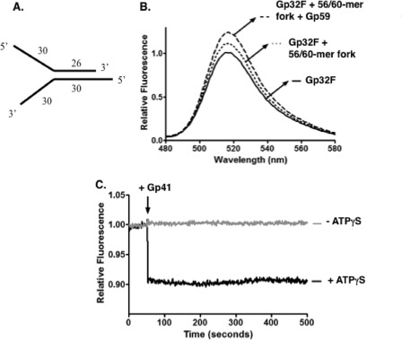 FIGURE 7.