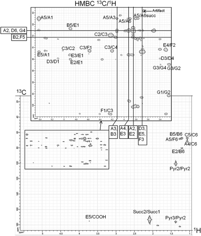 Fig 5