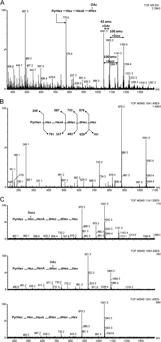 Fig 6