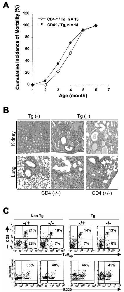 FIG. 9.