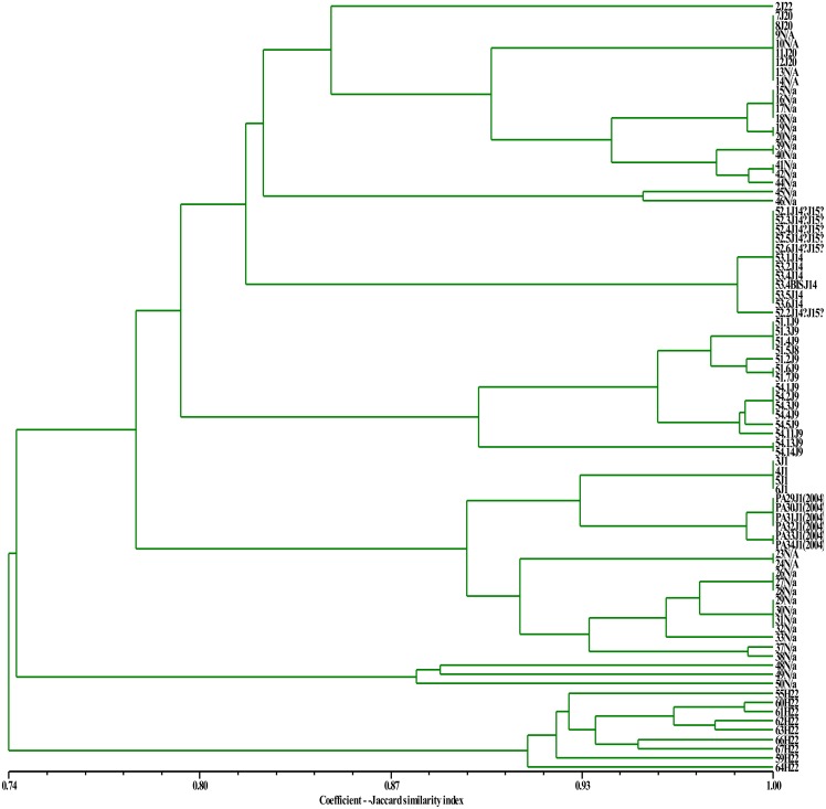 Fig 3