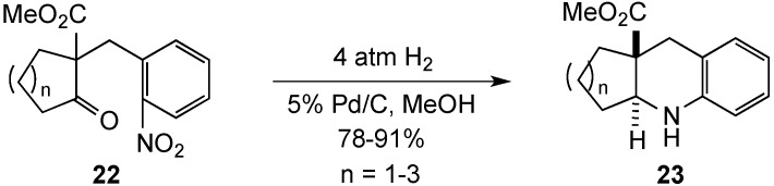 Scheme 3