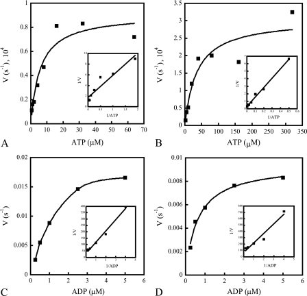 FIG. 6.