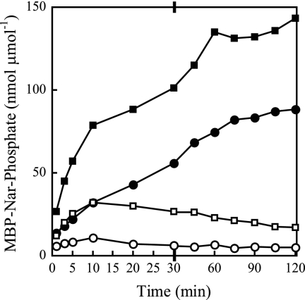 FIG. 2.