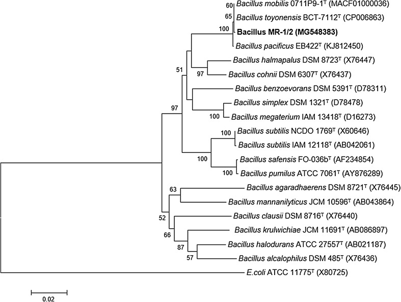 Fig. 2