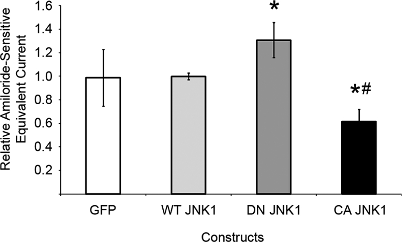 FIGURE 7.