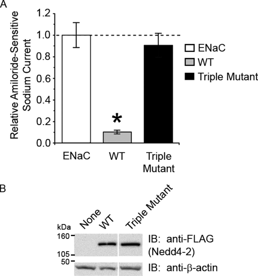 FIGURE 4.