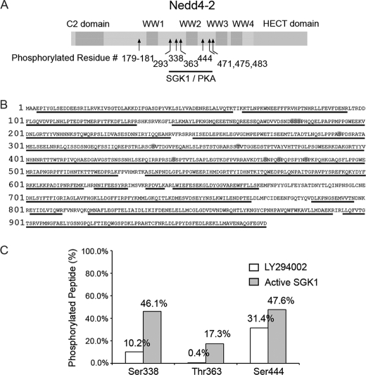 FIGURE 1.