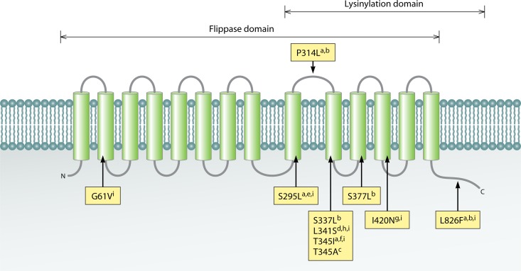 Fig 4