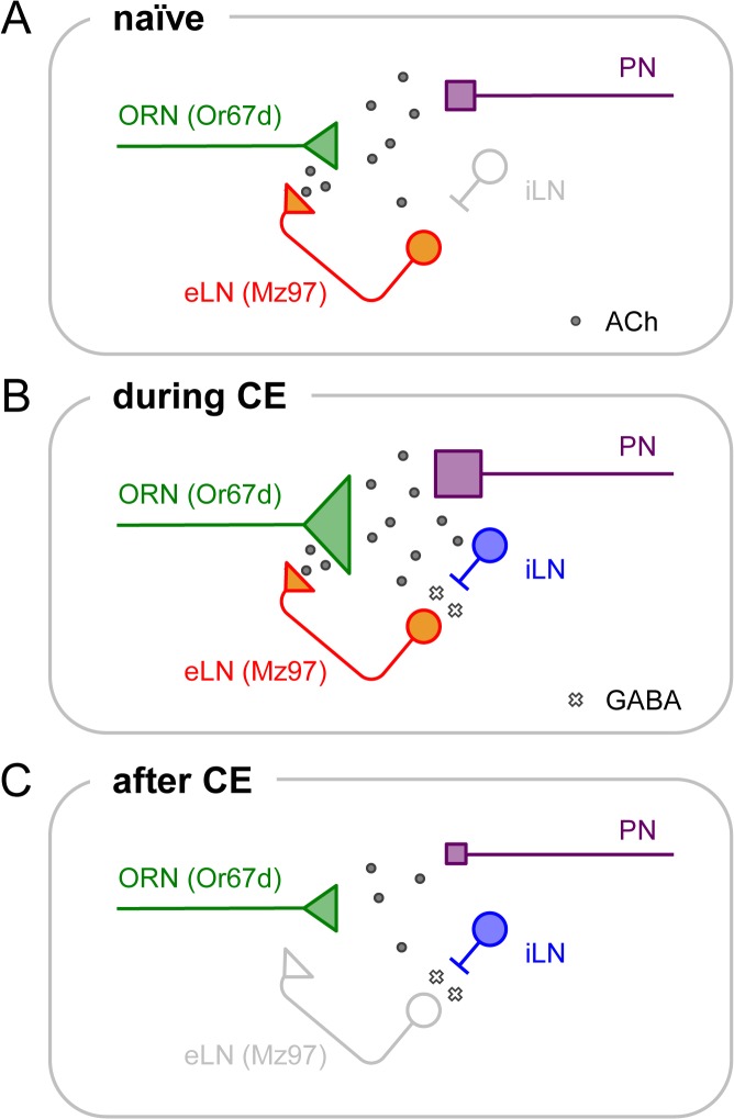 Fig 6