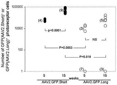 FIG. 8.