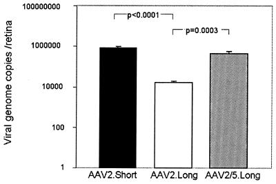 FIG. 10.