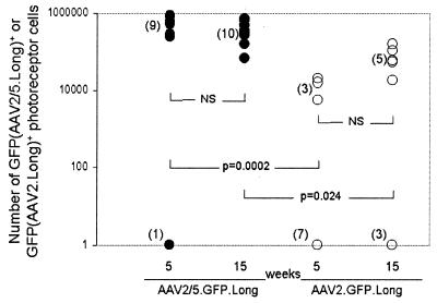 FIG. 9.