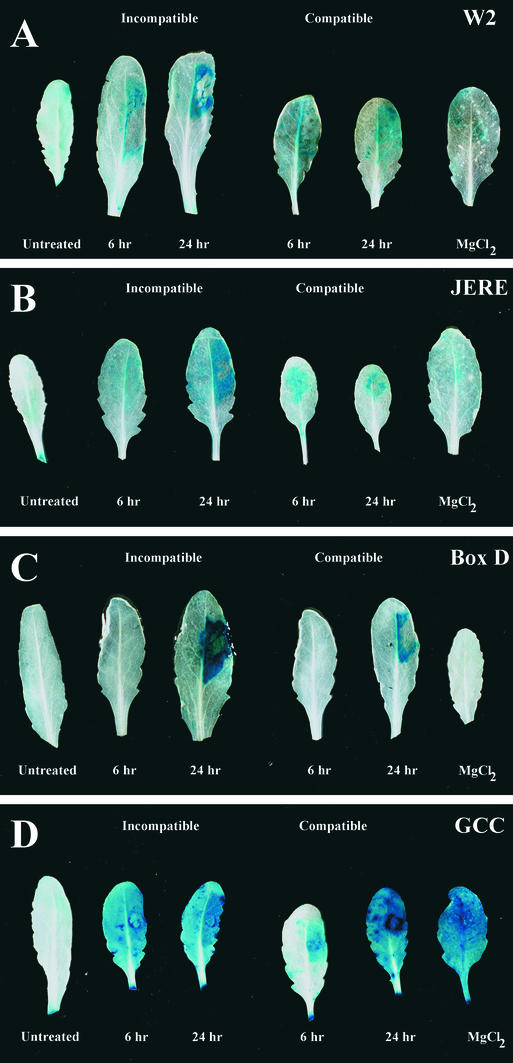 Figure 6.