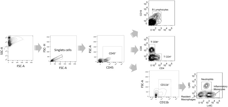 Supplementary figure 1