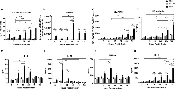 Lung pathology due to hRSV infection impairs blood–brain barrier ...