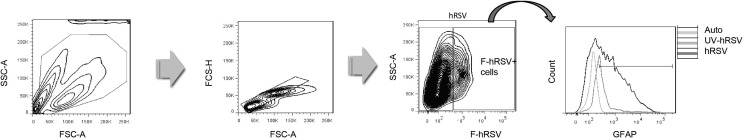 Supplementary figure 5