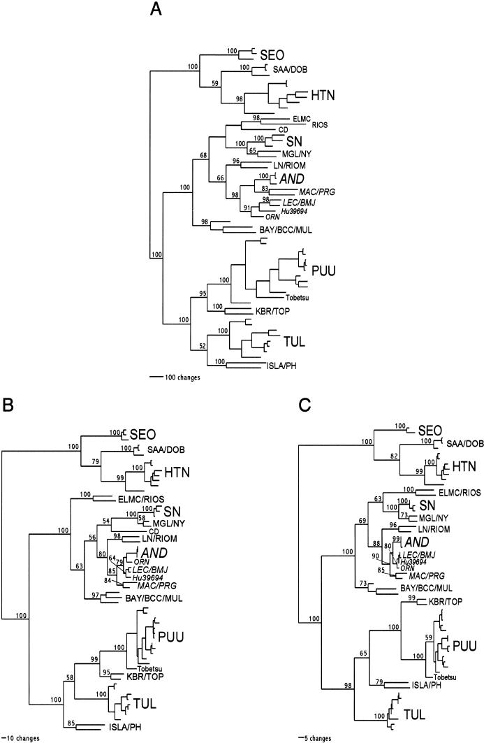 FIG.1.