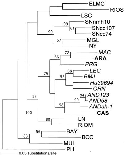 FIG. 2.