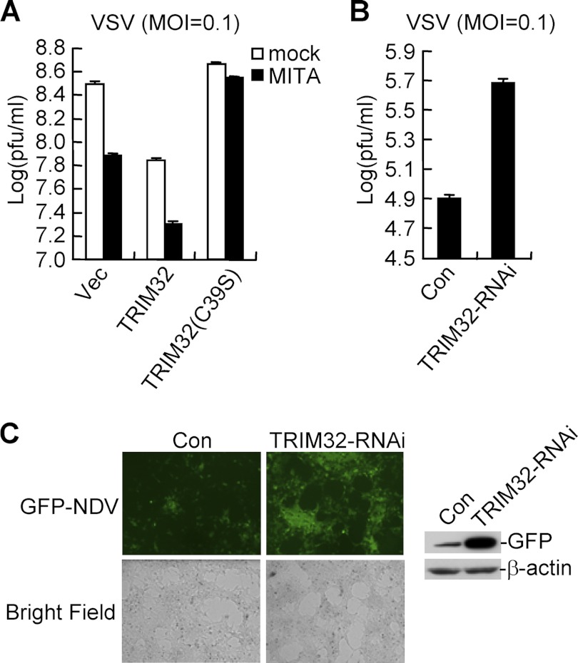 FIGURE 6.