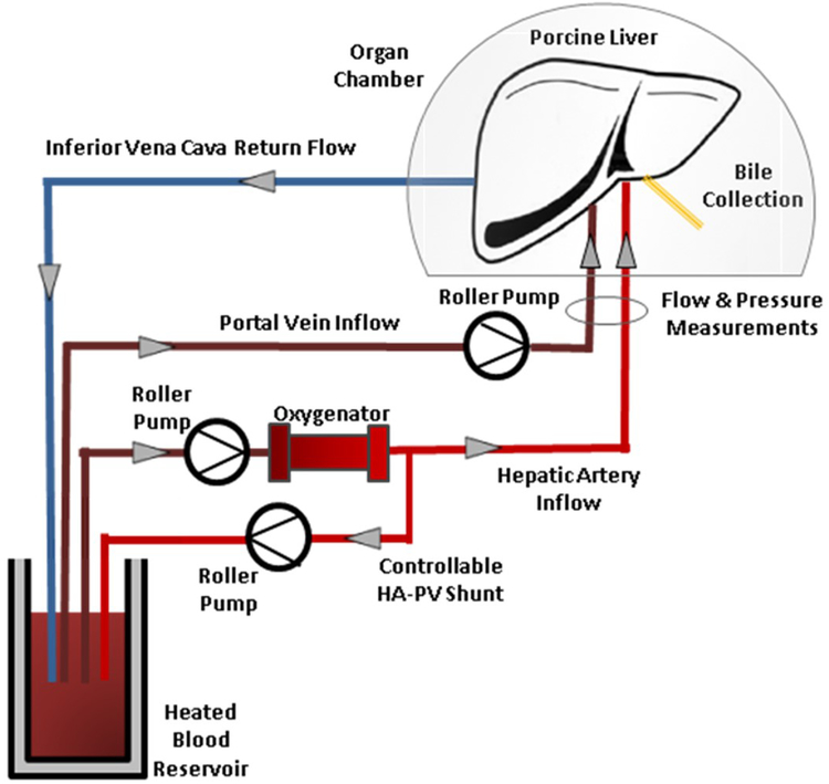 Figure 1: