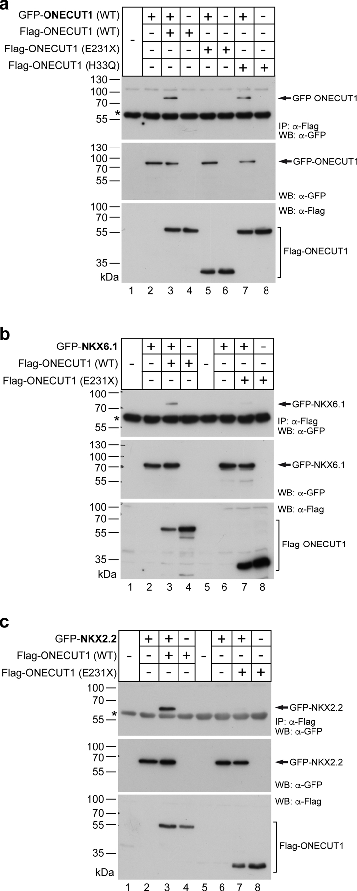 Extended Data Figure 7: