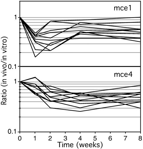 Fig. 4.