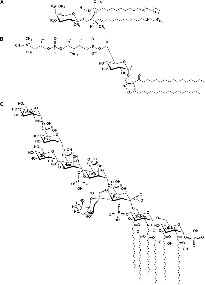 Fig. 1.