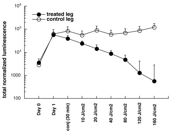 Fig. 9