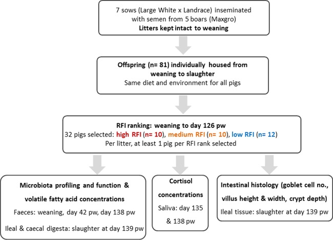 FIG 6