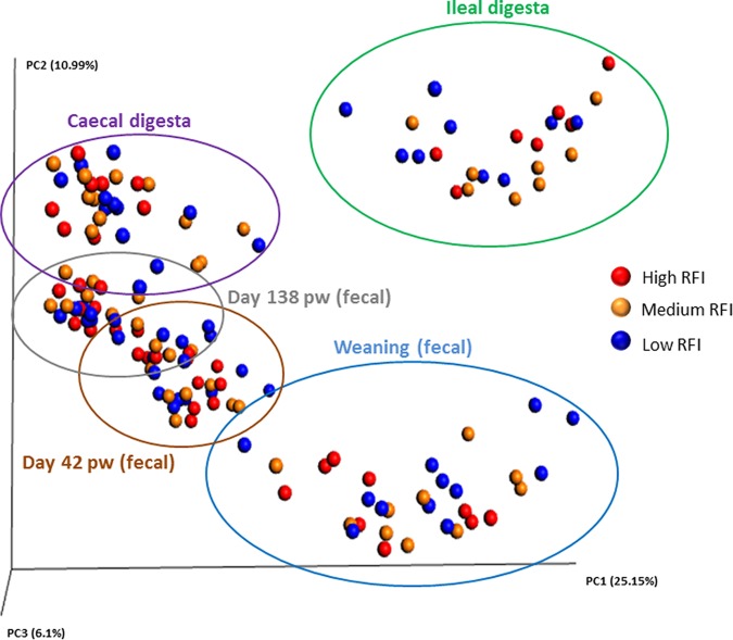 FIG 1