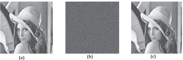 Fig. 7