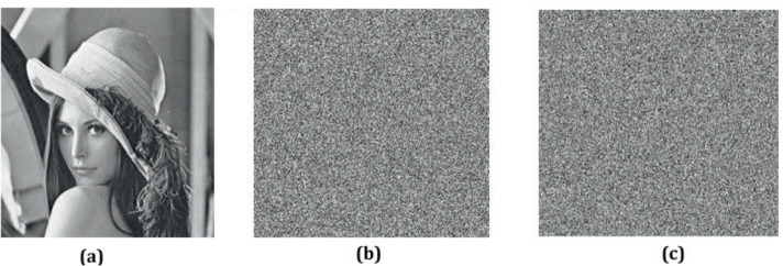 Fig. 8