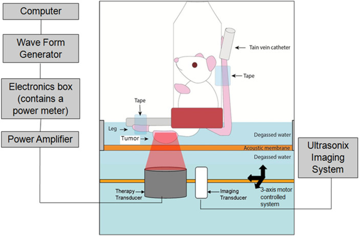 Figure 1.