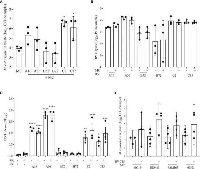 Figure 4