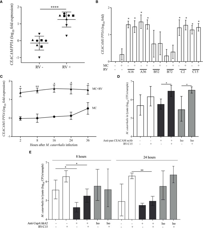 Figure 6