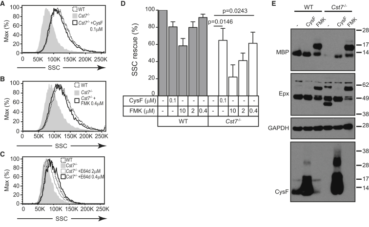 Figure 6