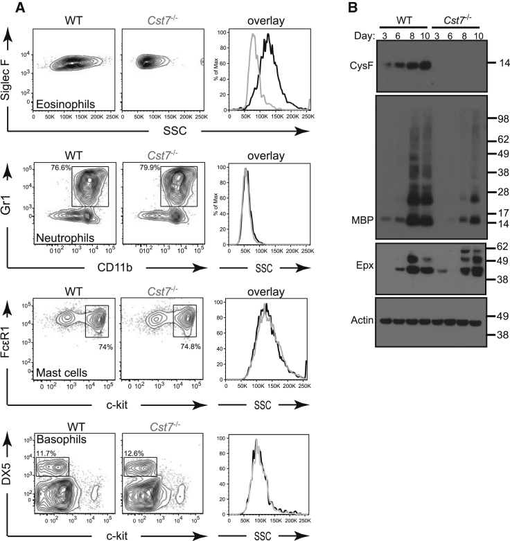 Figure 4