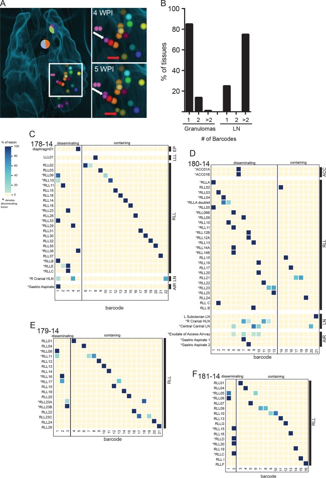 FIG 2 