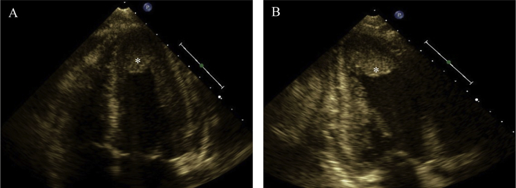 Figure 1