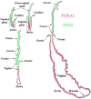 Figure 15.