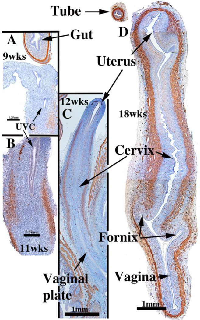 Figure 9.