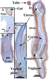 Figure 9.