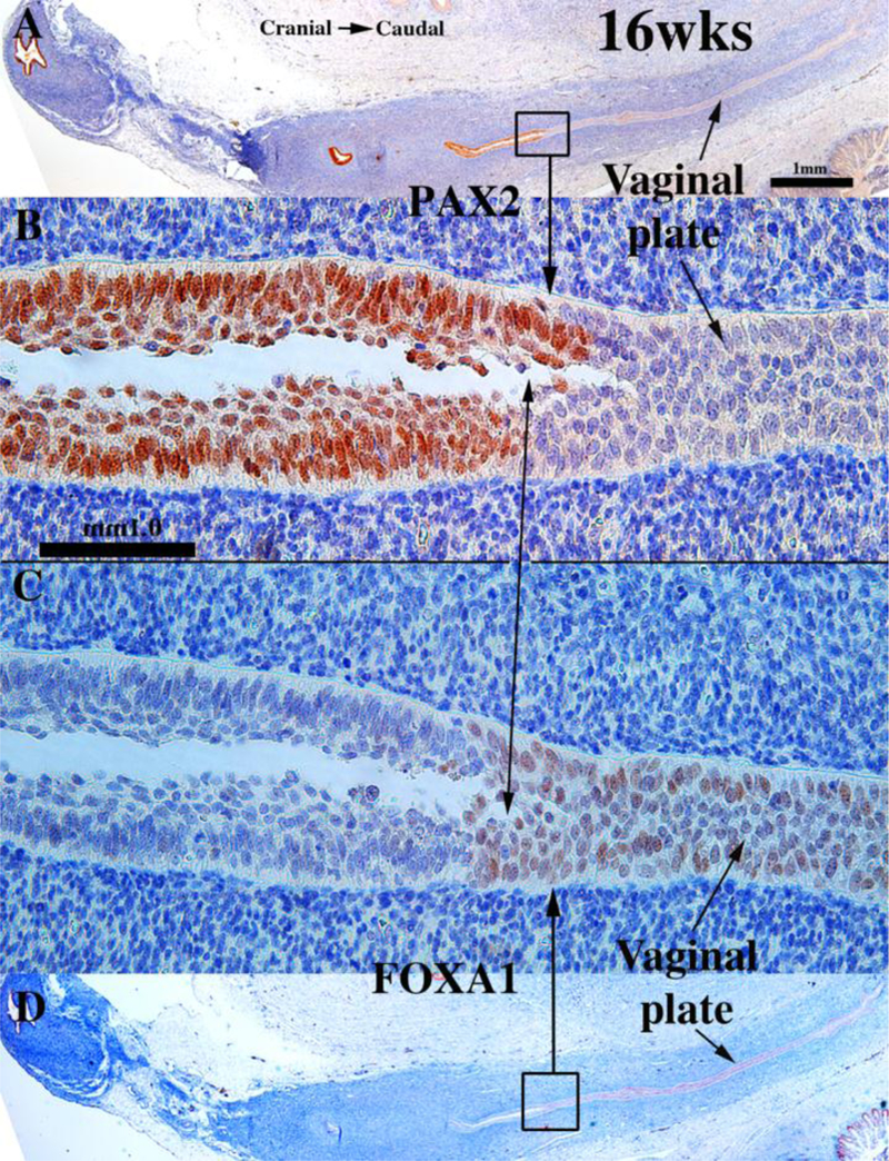 Figure 12.