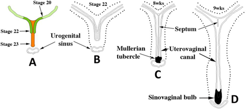 Figure 5.