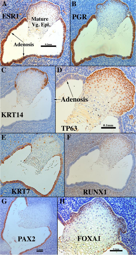 Figure 17.