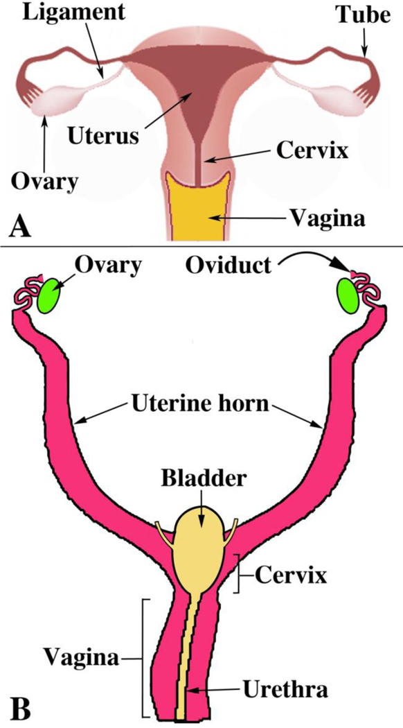 Figure 7.