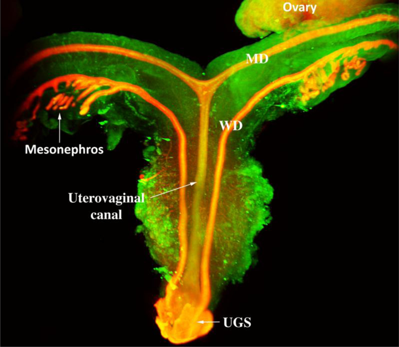 Figure 6.